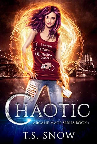 Cover for Arcane Mage Series