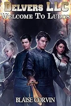 Cover image for Delvers LLC series
